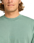 The Billabong Mens Wave T-Shirt in Sagebrush