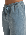 The Billabong Mens Larry Cord Trousers in Washed Blue