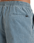 The Billabong Mens Larry Cord Trousers in Washed Blue