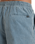 The Billabong Mens Larry Cord Trousers in Washed Blue