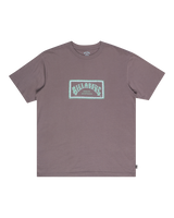 The Billabong Mens Arch Frame T-Shirt in Dusty Purple