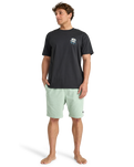 The Billabong Mens Add Water T-Shirt in Washed Black