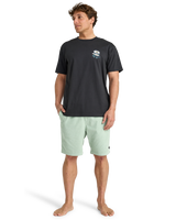 The Billabong Mens Add Water T-Shirt in Washed Black