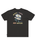 The Billabong Mens Add Water T-Shirt in Washed Black