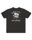 The Billabong Mens Add Water T-Shirt in Washed Black