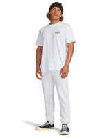 The Billabong Mens Diamond Vision T-Shirt in White