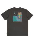 The Billabong Mens Adventure Division Sundown T-Shirt in Raven