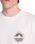 The Billabong Mens Adventure Division Rockies T-Shirt in White