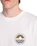The Billabong Mens Adventure Division Rockies T-Shirt in White
