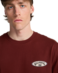 The Billabong Mens Orbit Arch T-Shirt in Burnt Red