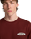 The Billabong Mens Orbit Arch T-Shirt in Burnt Red