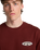 The Billabong Mens Orbit Arch T-Shirt in Burnt Red