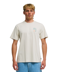 The Billabong Mens The Feeling T-Shirt in Chino