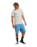 The Billabong Mens The Feeling T-Shirt in Chino