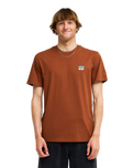 The Billabong Mens Icon Wave T-Shirt in Tortoise Shell