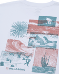 The Billabong Mens Montage T-Shirt in White