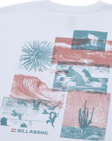 The Billabong Mens Montage T-Shirt in White