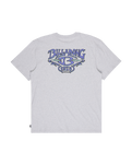 The Billabong Mens Re Issue T-Shirt in Light Grey Heather