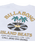 The Billabong Mens Island Beats T-Shirt in White