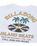 The Billabong Mens Island Beats T-Shirt in White
