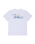 The Billabong Mens Ty Williams Paddle Out T-Shirt in White