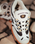 DC Hybrid OG Shoes in Brown & Gum