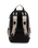 The Element Scheme Skate Backpack in Aluminium