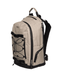 The Element Scheme Skate Backpack in Aluminium