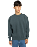 Lowcase Pigment Sweatshirt in Magical Forest