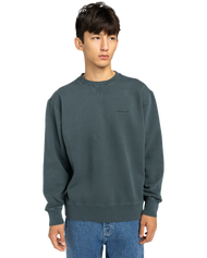 Lowcase Pigment Sweatshirt in Magical Forest