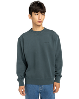 Lowcase Pigment Sweatshirt in Magical Forest