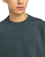 Lowcase Pigment Sweatshirt in Magical Forest