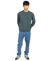 Lowcase Pigment Sweatshirt in Magical Forest