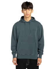 Lowcase Pigment Hoodie in Magical Forest