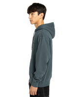 Lowcase Pigment Hoodie in Magical Forest