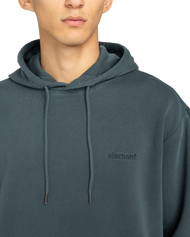 Lowcase Pigment Hoodie in Magical Forest