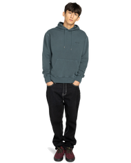 Lowcase Pigment Hoodie in Magical Forest