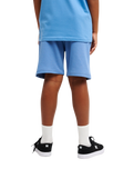 The Quiksilver Boys Boys Easy Day Shorts in Riviera