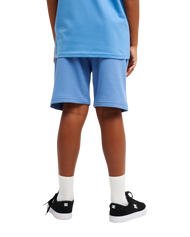 The Quiksilver Boys Boys Easy Day Shorts in Riviera