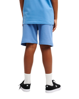 The Quiksilver Boys Boys Easy Day Shorts in Riviera