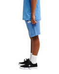 The Quiksilver Boys Boys Easy Day Shorts in Riviera