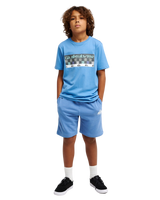 The Quiksilver Boys Boys Easy Day Shorts in Riviera