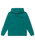 The Quiksilver Boys Boys Basic Hoodie in Teal Green