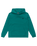 The Quiksilver Boys Boys Basic Hoodie in Teal Green