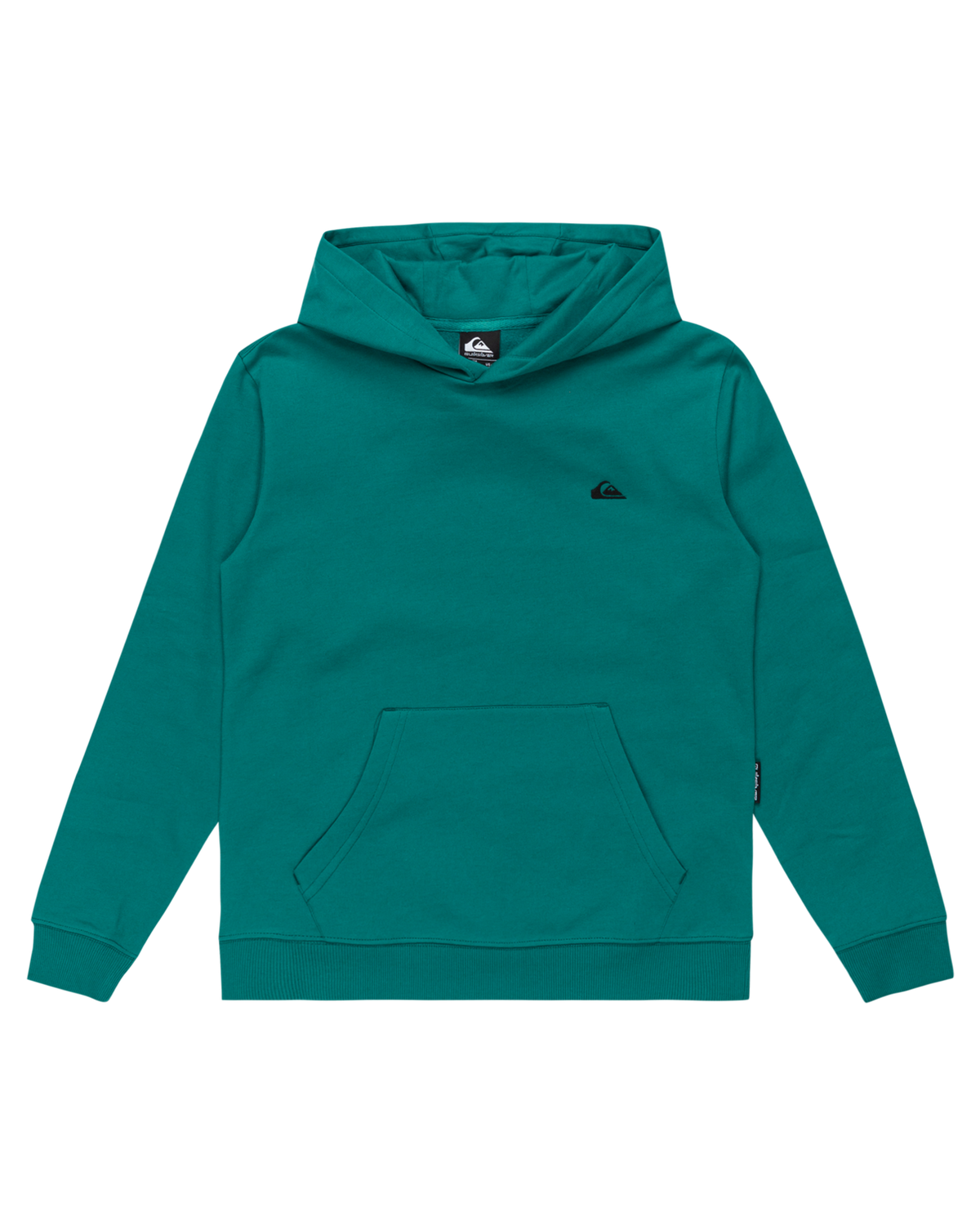 The Quiksilver Boys Boys Basic Hoodie in Teal Green