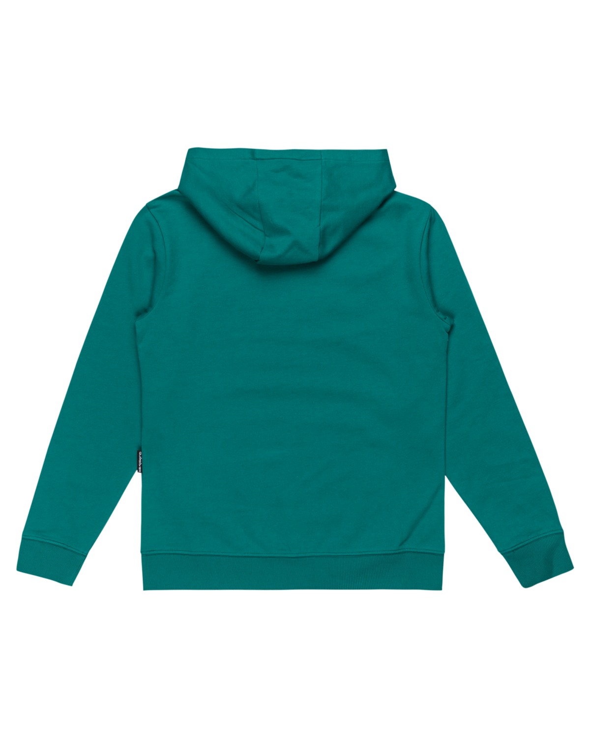 The Quiksilver Boys Boys Basic Hoodie in Teal Green