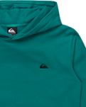 The Quiksilver Boys Boys Basic Hoodie in Teal Green