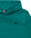 The Quiksilver Boys Boys Basic Hoodie in Teal Green