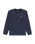The Quiksilver Boys Boys Basic Sweatshirt in Navy Blazer