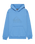 Boys Comp Logo Hoodie in Riviera